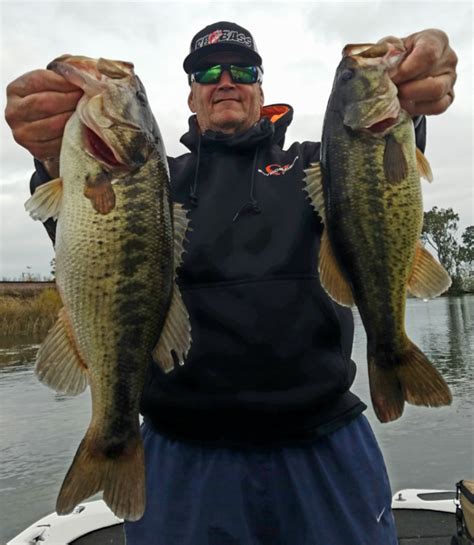 sac fishing report|delta largemouth bass fishing report.